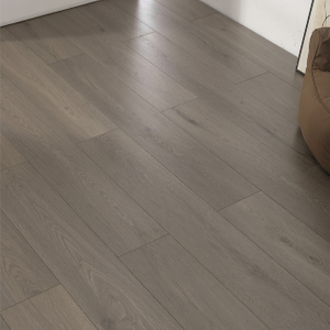 Laminate Flooring 12 mm / ENF192
