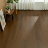 Distant Horizon Laminate Flooring