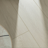 8 Mm Laminate Flooring/ DX181