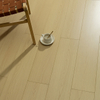 8 Mm Laminate Flooring/ DX180